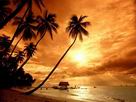 Fondos de escritorio y pantalla de Playas Nocturnas